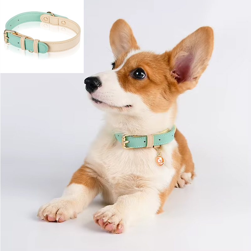 Adjustable Leather Dog Collar