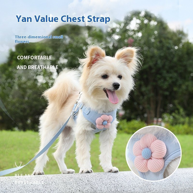Breathable Flower Vest Harness With Matching Leash