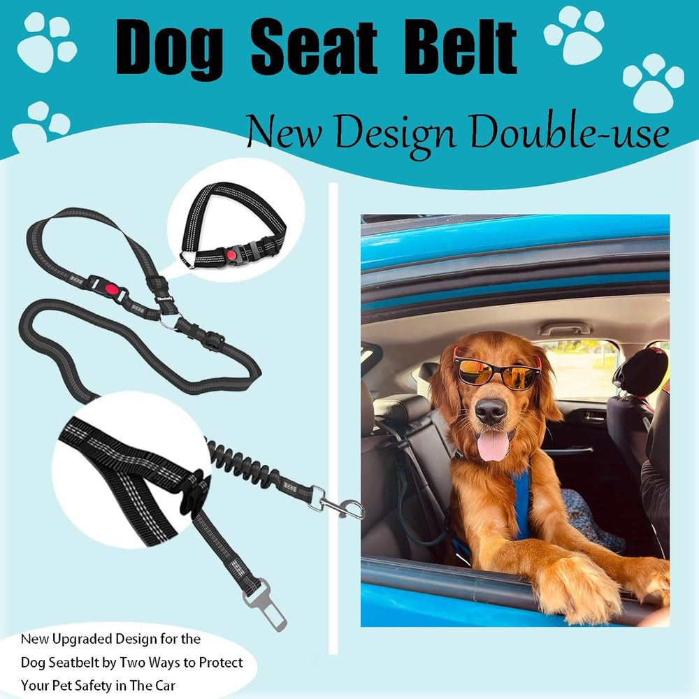 Bungee Dog Leash With Car Seatbelt Tether