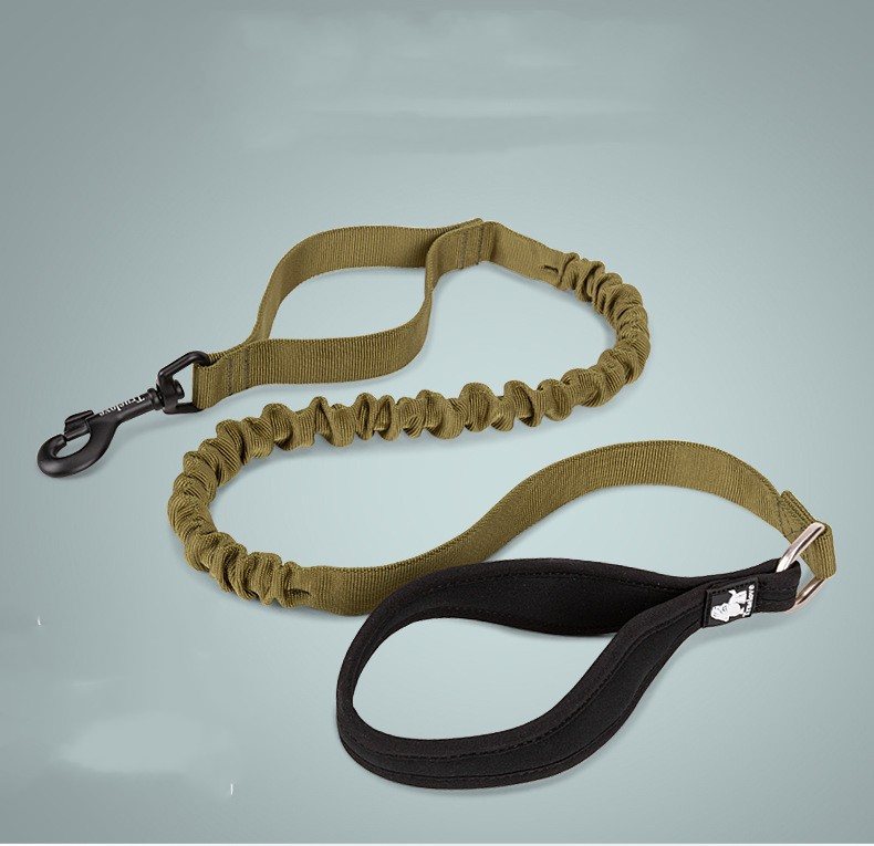 Bungee Dog Leash with Padded Handle