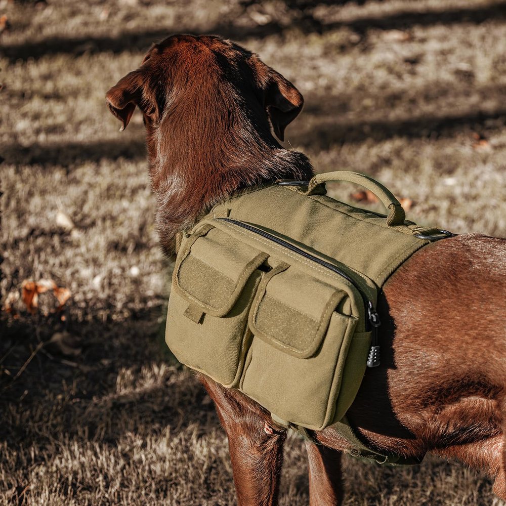 Dog Saddle Backpack With Adjustable Straps