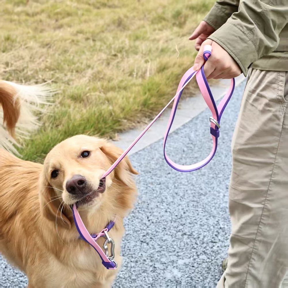 Dual-Color Embossed Leash With Matching Collar