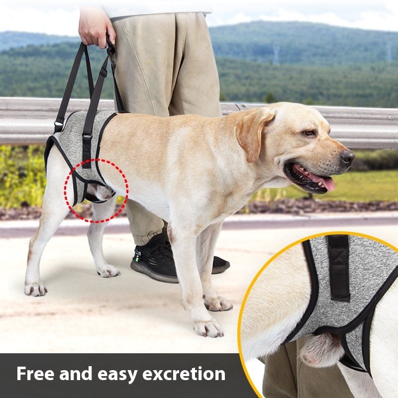 Elderly Dog Rear Lift Support Harness