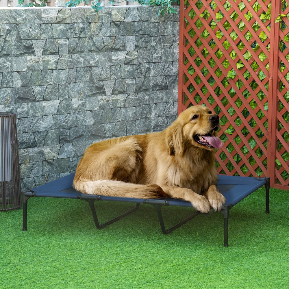 Elevated Breathable Dog Bed with Bolster Sides