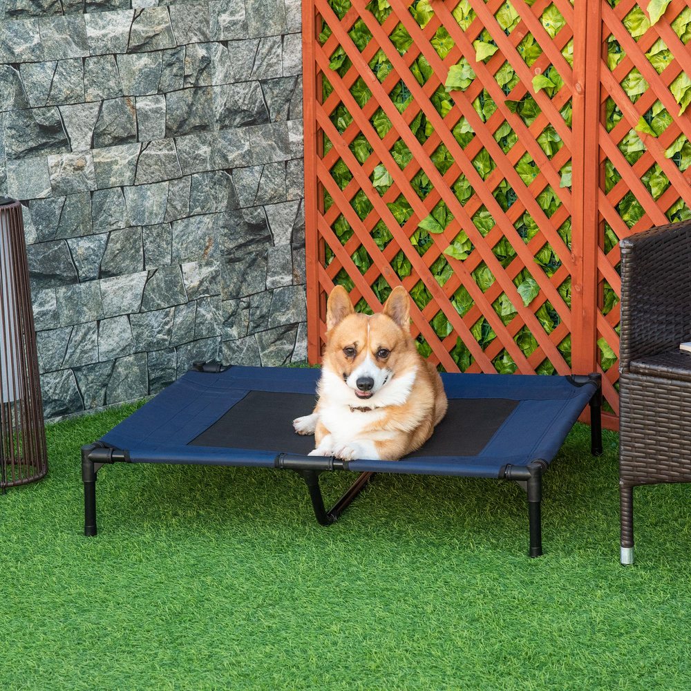 Elevated Cooling Mesh Dog Cot Bed
