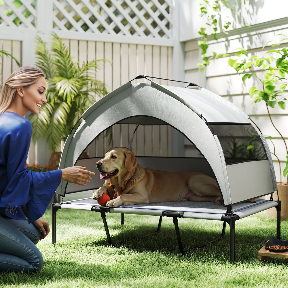 Elevated Dog Cot with Removable Canopy and Cooling Pad