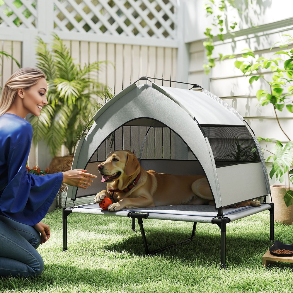 Elevated Dog Cot with Removable Canopy and Cooling Pad