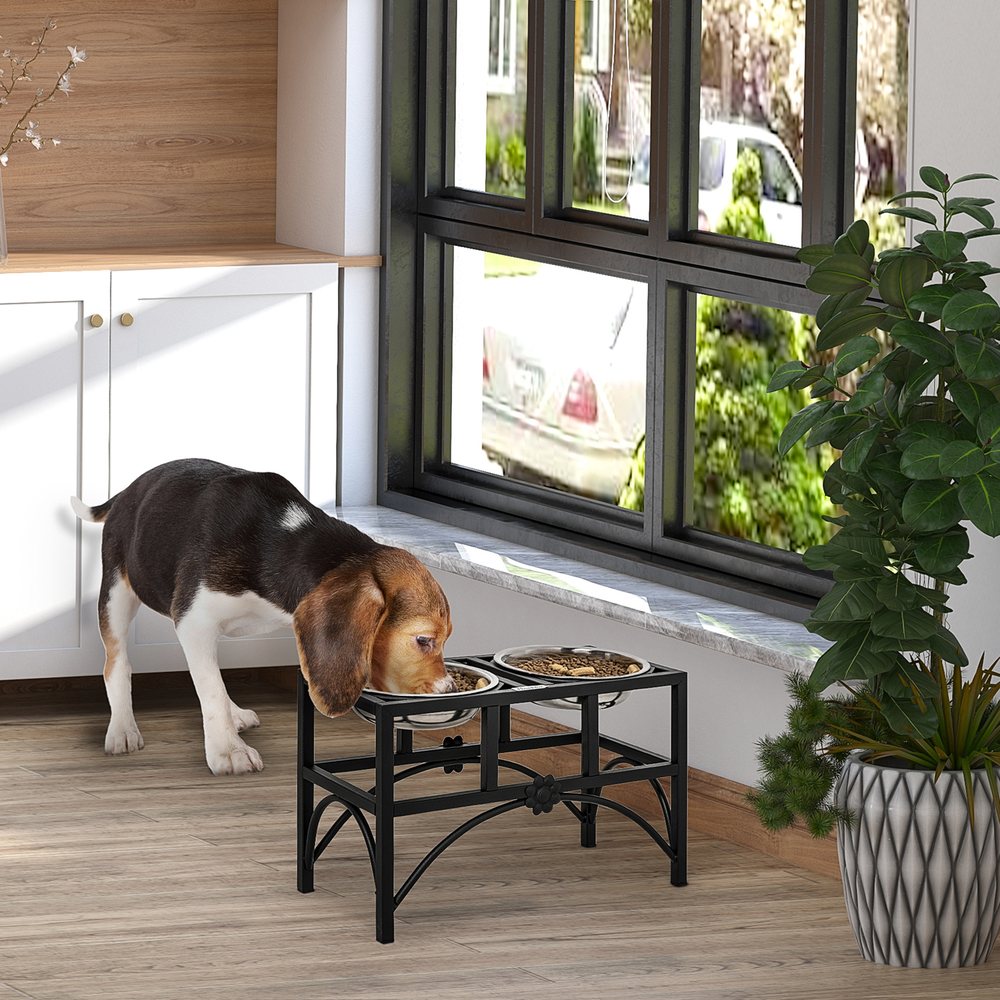 Elevated Metal Feeding Stand With Double Bowls