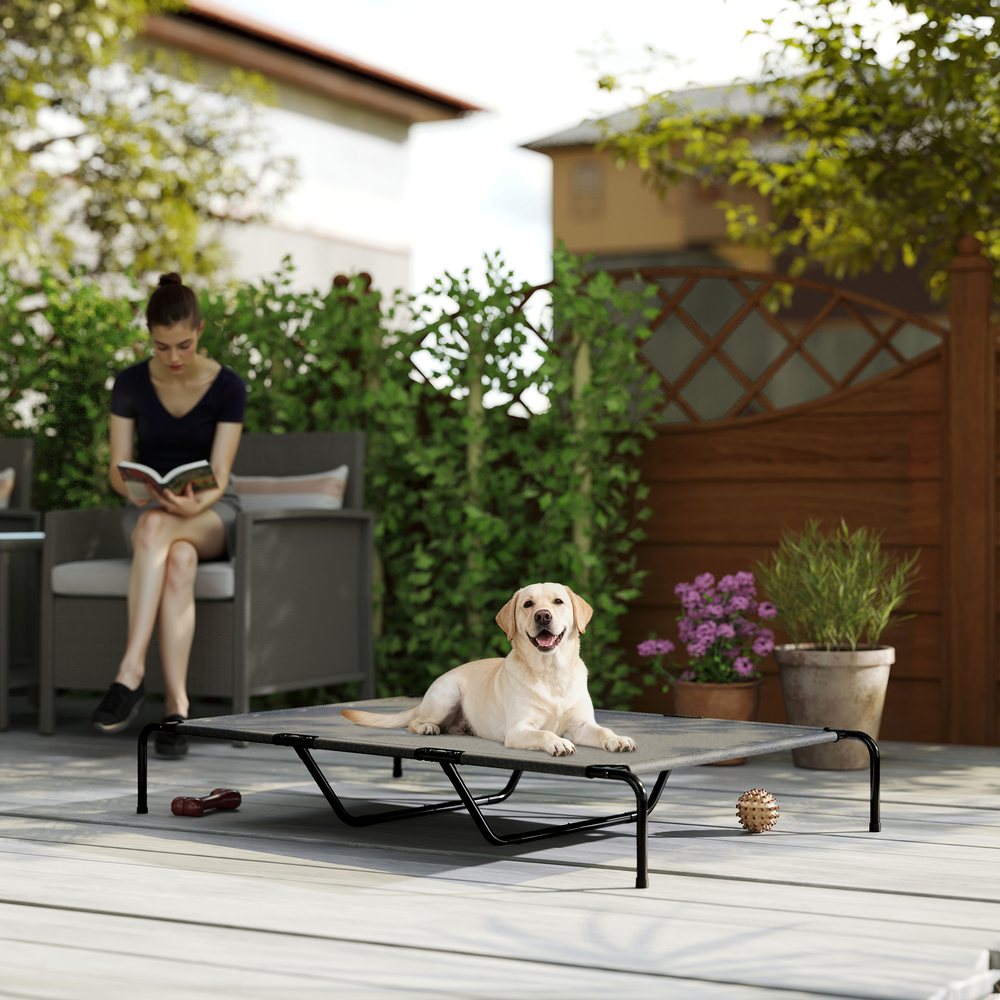 Elevated Outdoor Dog Cot Bed