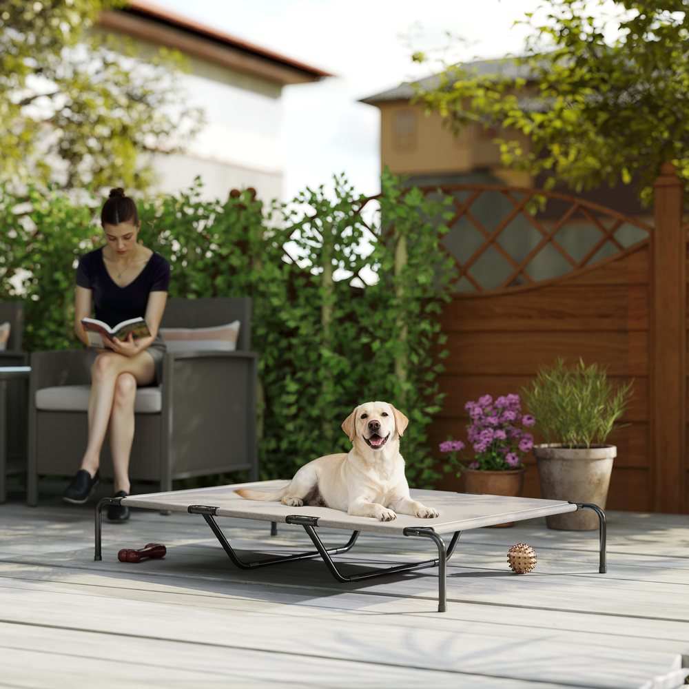 Elevated Outdoor Dog Cot Bed