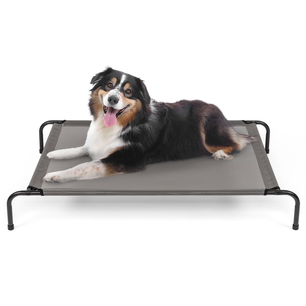 Elevated Raised Dog Cot Bed with Breathable Mesh