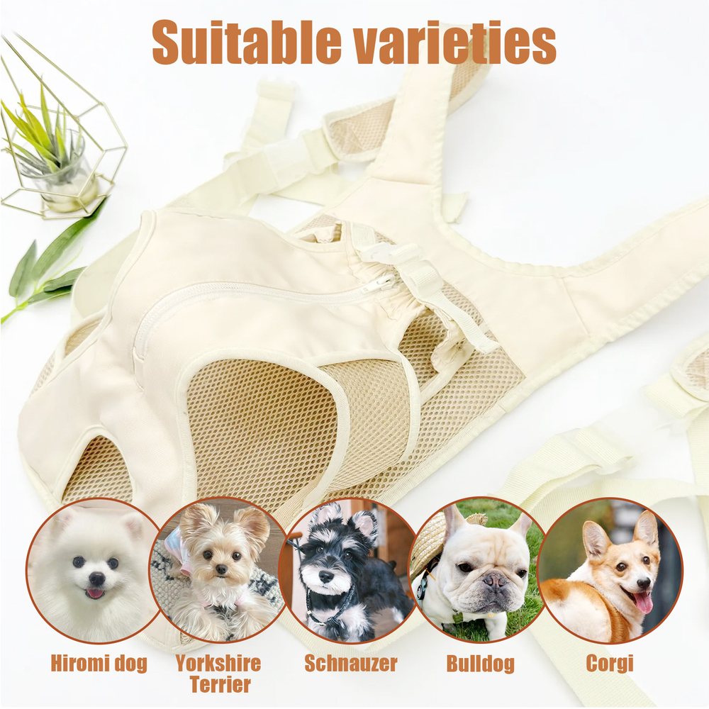 Front-Carry Mesh Pet Carrier