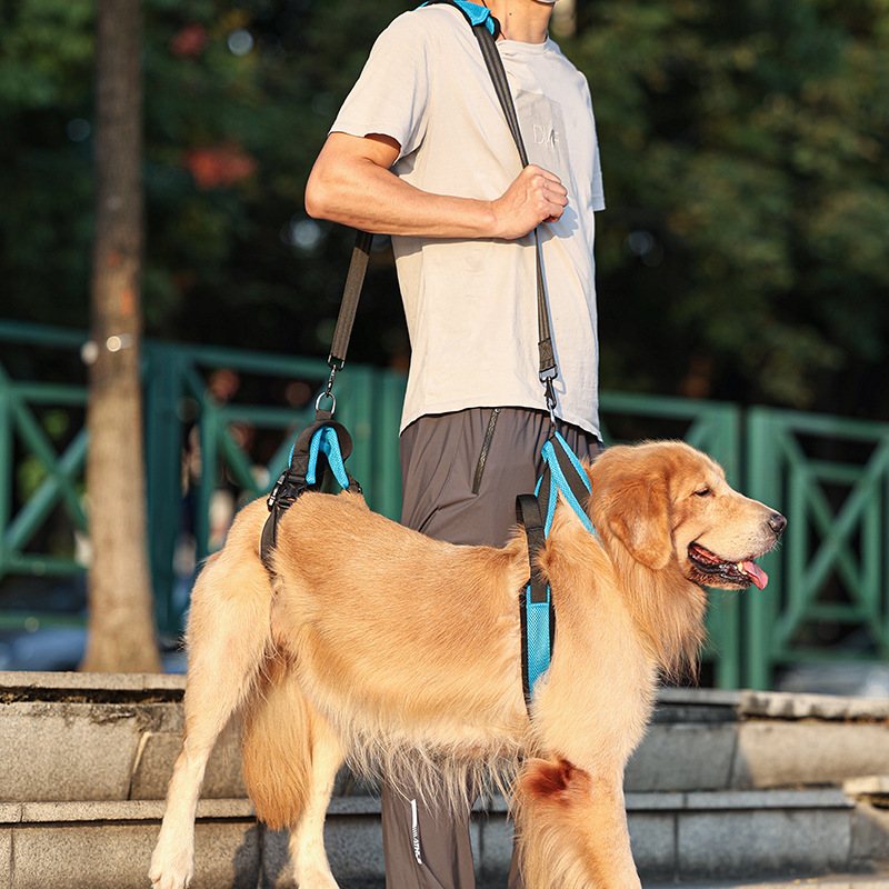 Full-Body Lift Assist Support Harness