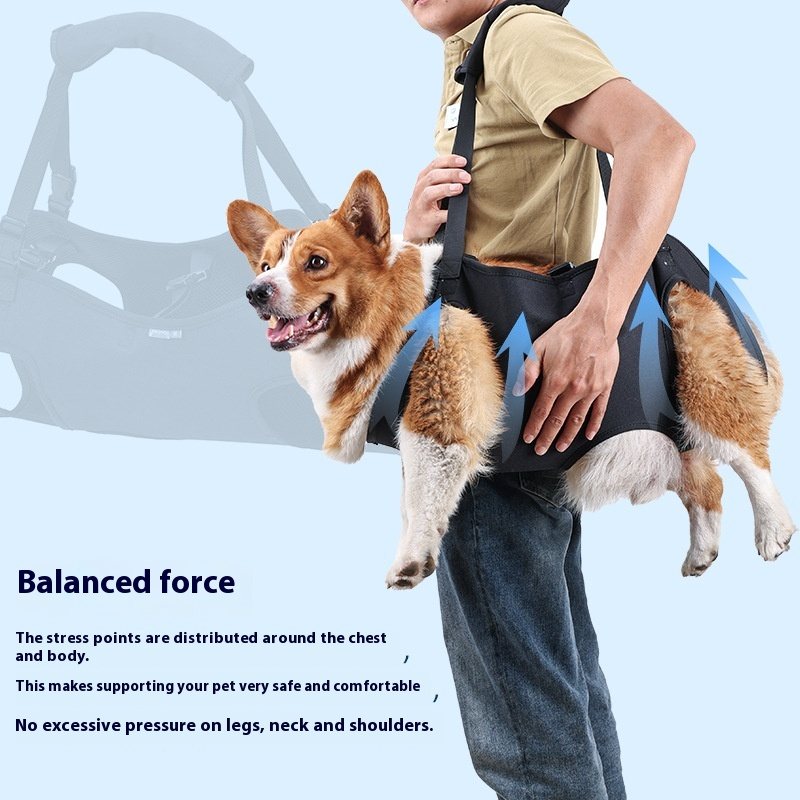 Full-Body Lift Support Harness For Injured Dogs
