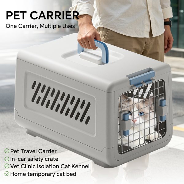 Hard-Sided Pet Travel Carrier With Top Handle