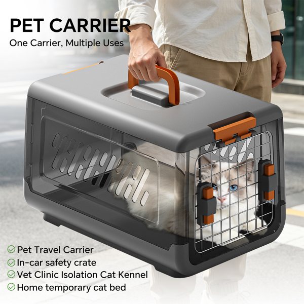 Hard-Sided Pet Travel Carrier With Top Handle