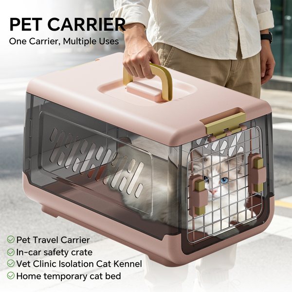 Hard-Sided Pet Travel Carrier With Top Handle