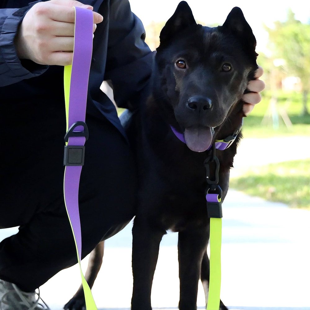 Honeycomb Embossed Waterproof Dog Leash Set
