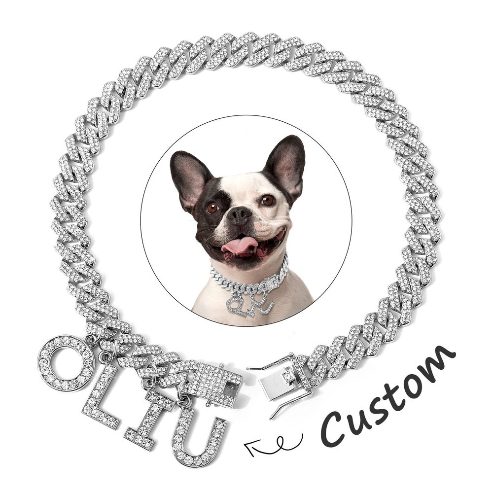 Leather Walking Dog Collar With Handle