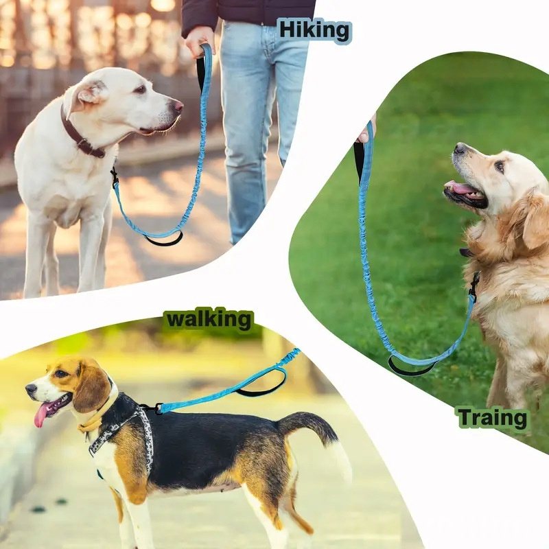 No-Pull Bungee Dog Leash With Padded Handle