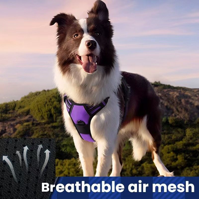No-Pull Reflective Padded Dog Harness Vest