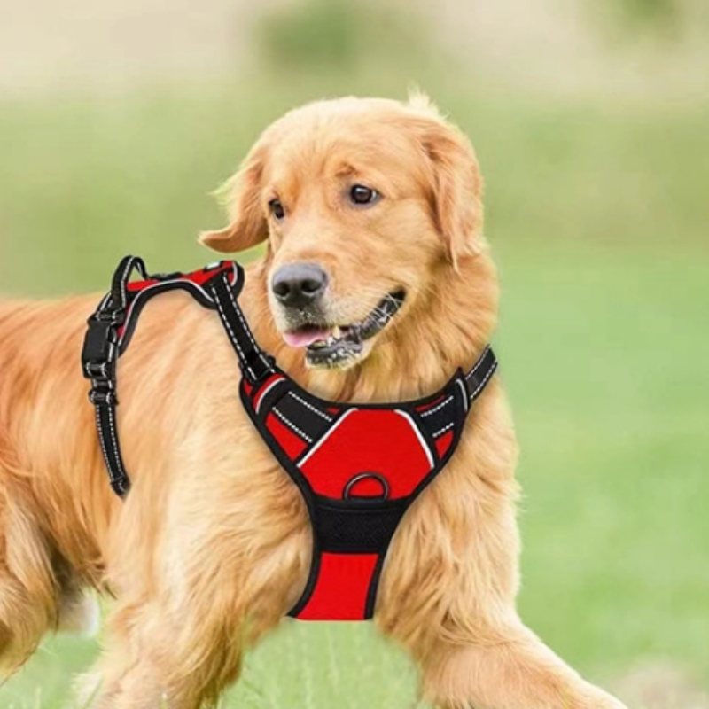 No-Pull Reflective Padded Dog Harness