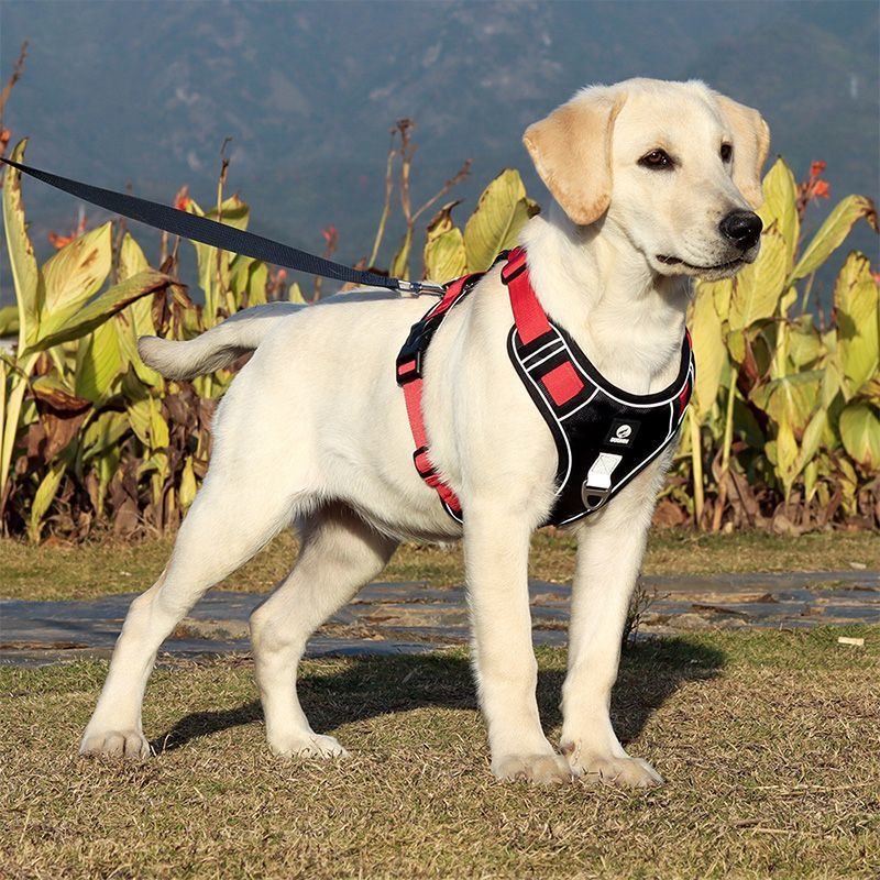 No-Pull Reflective Vest Harness With Handle