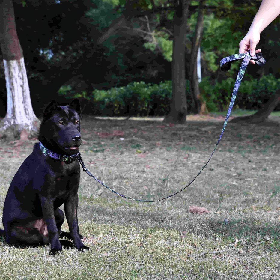 Patterned Waterproof Dog Leash And Collar Set