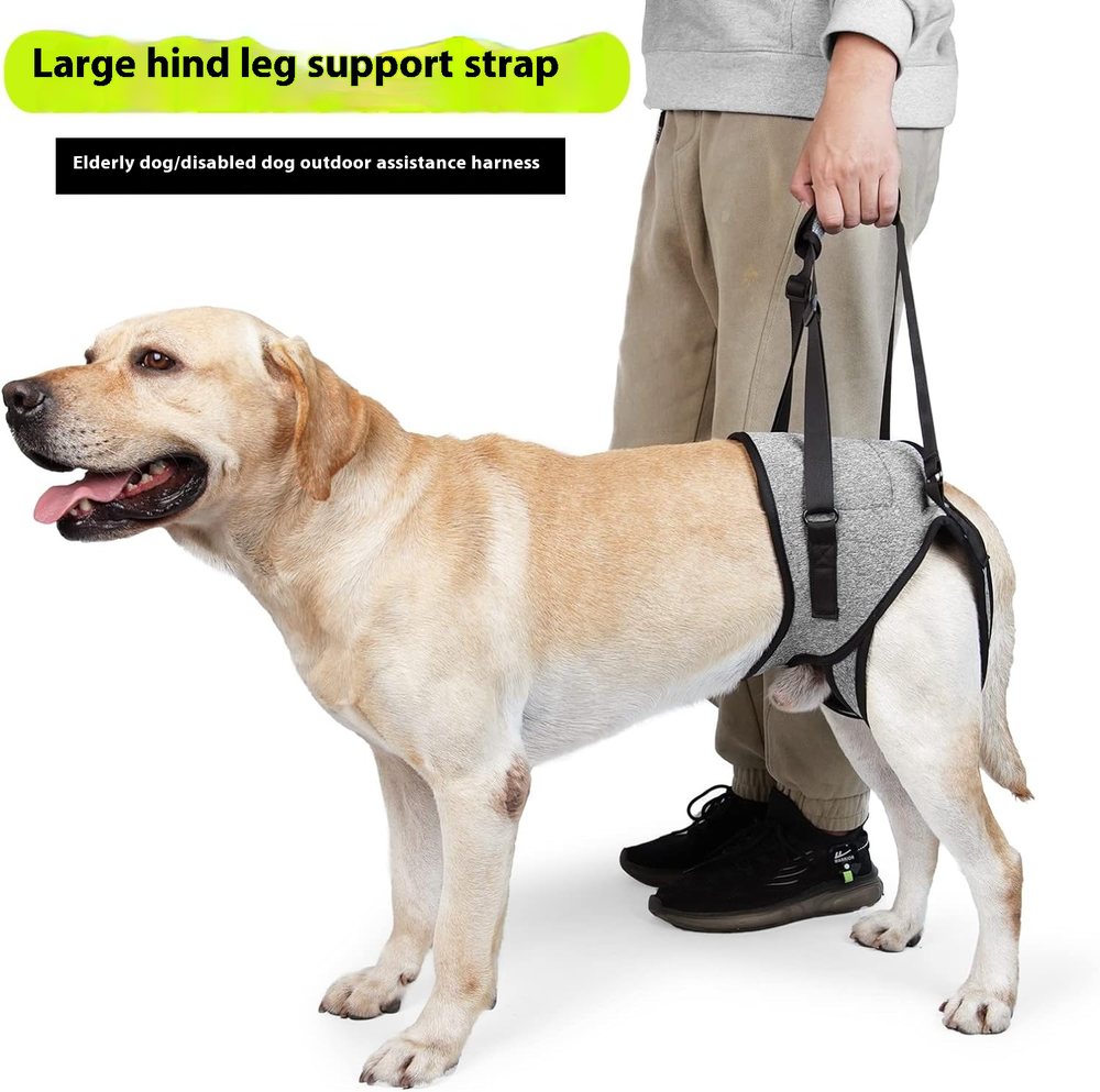 Rear-Leg Support Assist Harness For Senior Dogs