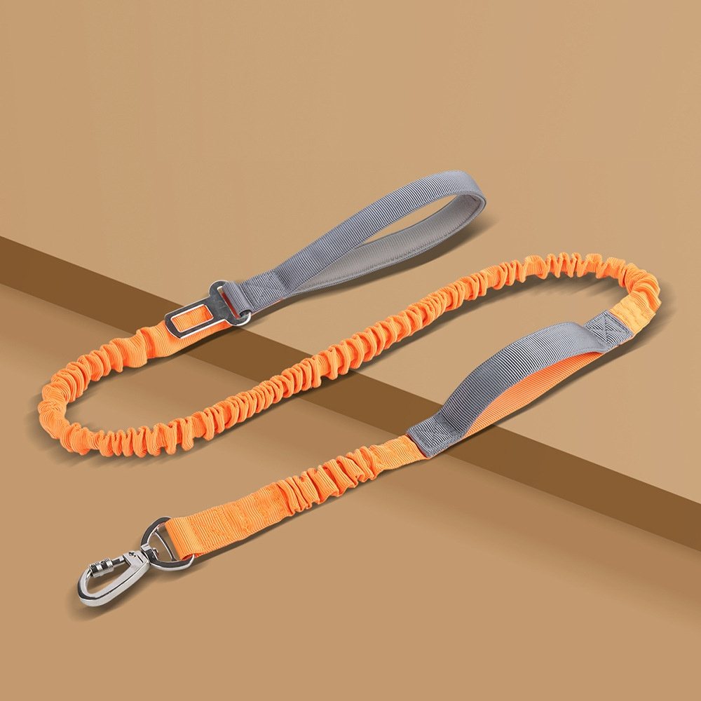 Reflective Bungee Dog Leash
