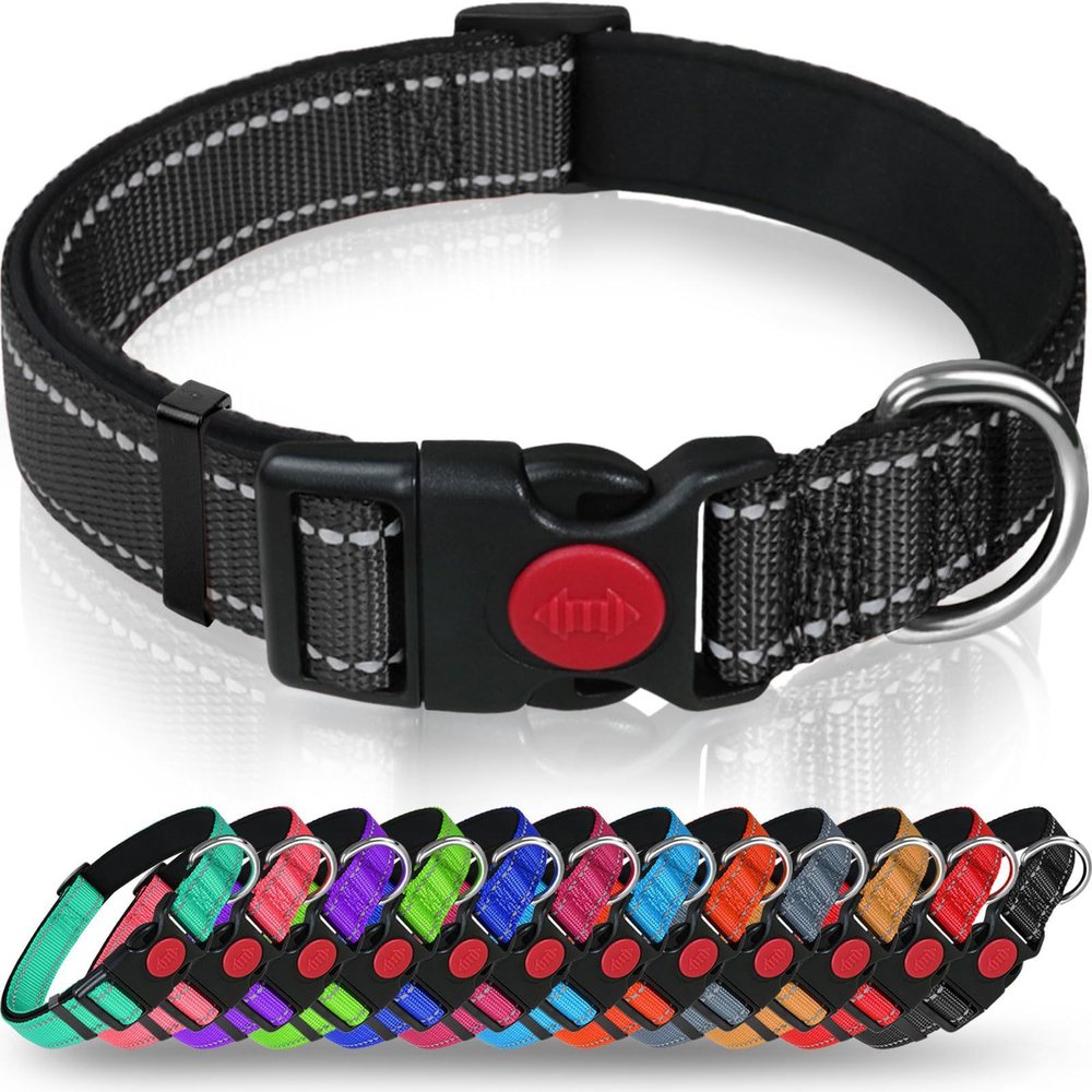 Reflective Nylon Dog Collar With Quick-Release Buckle