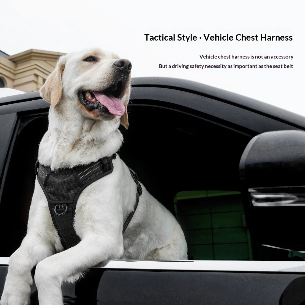 Reflective Vehicle Chest Harness