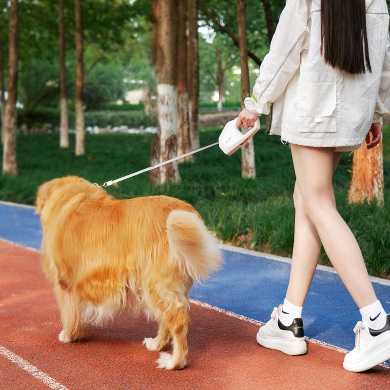Retractable Dog Leash With Ergonomic Handle