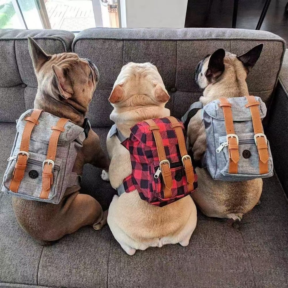 Retro Dog Backpack Carrier