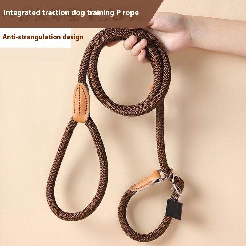 Slip Rope Training Leash With Leather Stopper