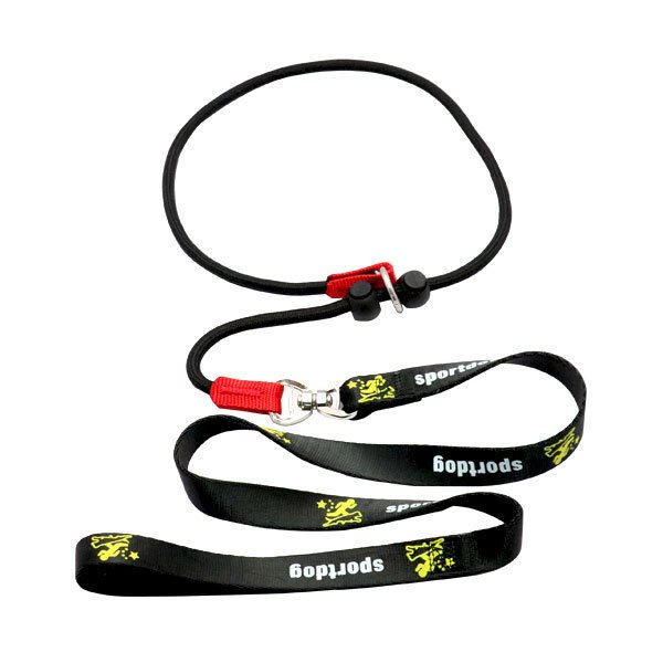 Slip Training Rope Leash With Adjustable Stop