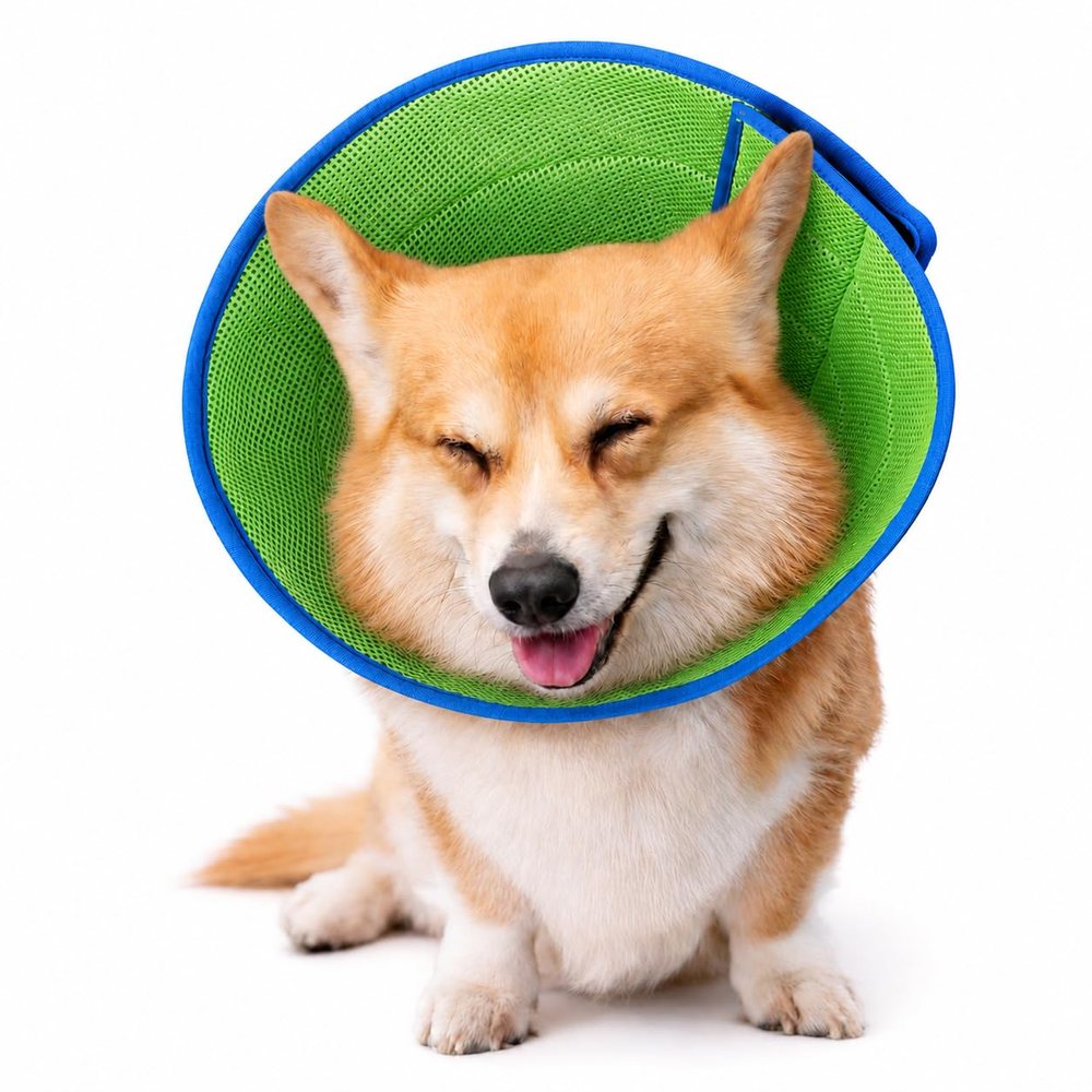 Soft Recovery Cone Collar