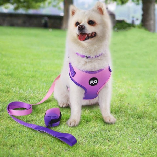 Step-In Vest Harness And Leash Set